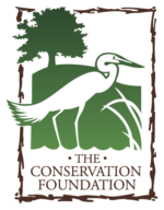The Conservation Foundation